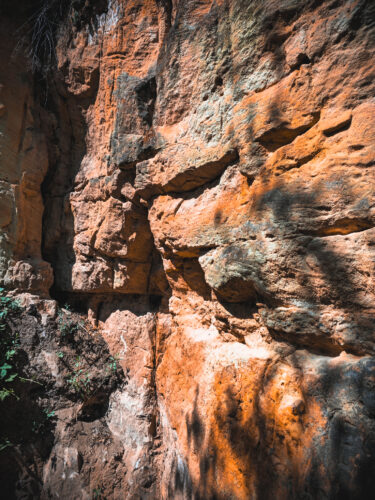 Prosek Rock and Forest Prague Czechia 2024-37