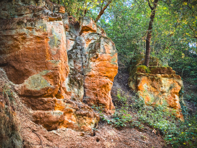 Prosek Rock and Forest Prague Czechia 2024-39