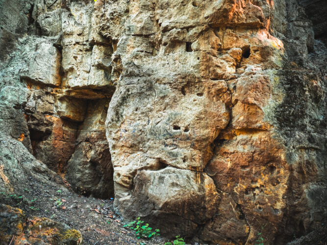 Prosek Rock and Forest Prague Czechia 2024-40