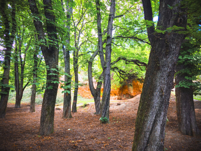 Prosek Rock and Forest Prague Czechia 2024-46