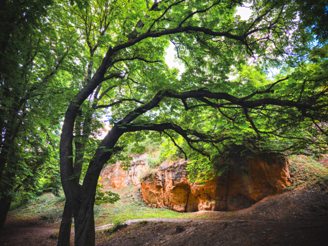 Prosek Rock and Forest Prague Czechia 2024-50