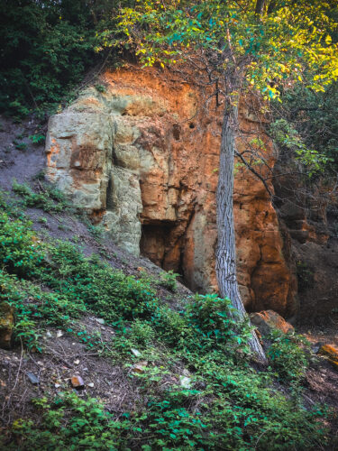 Prosek Rock and Forest Prague Czechia 2024-54