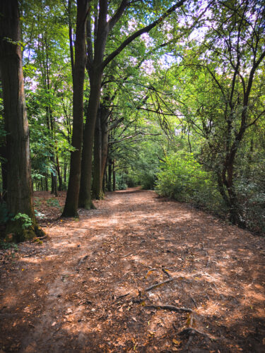 Prosek Rock and Forest Prague Czechia 2024-55